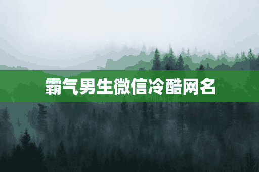 霸气男生微信冷酷网名(霸气男生微信冷酷网名两个字)